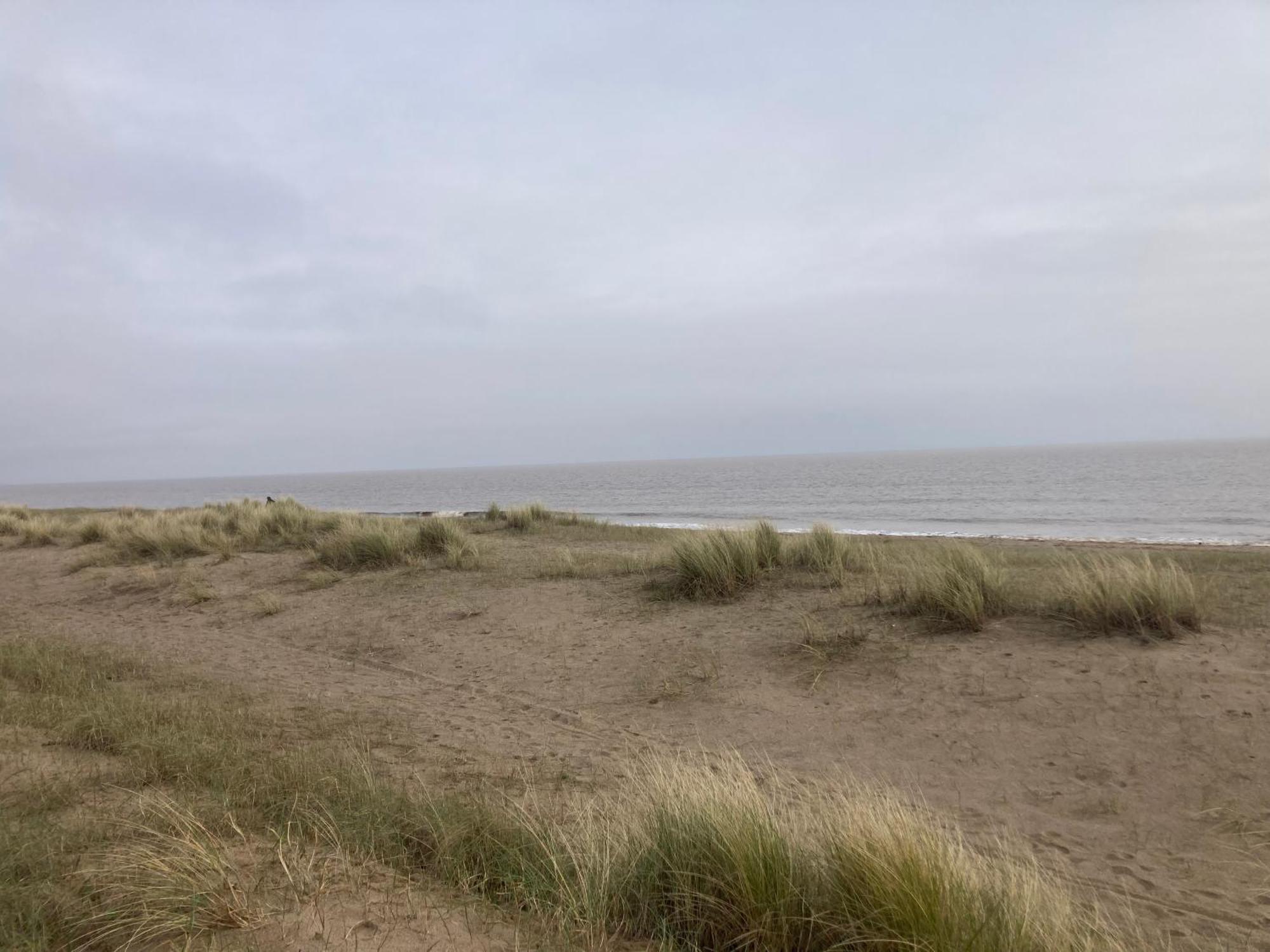 Pet Friendly Holiday Home On Golden Palm Skegness Luaran gambar